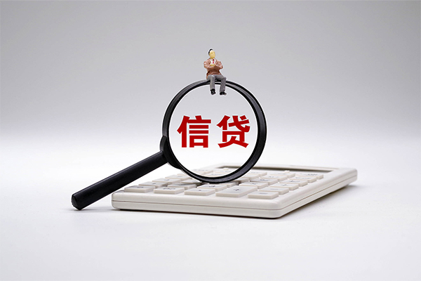 成都信用私借空放不考察